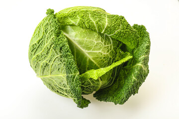 Organic Savoy Cabbage for cooking
