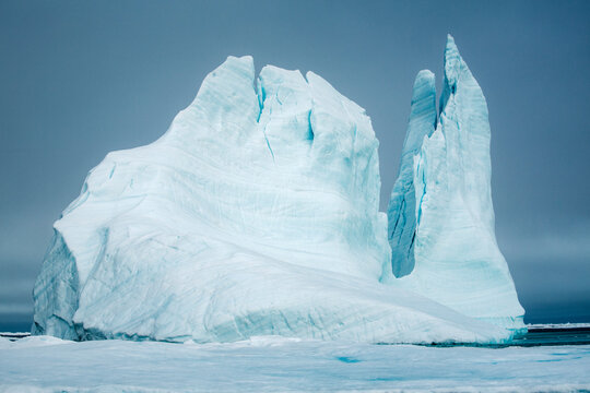 Icebergs floating in the melting sea ice in the Davis Strait.