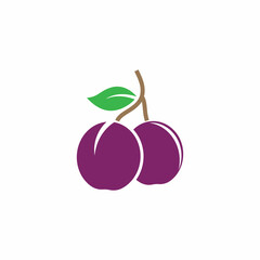 Plum logo vector icon design template