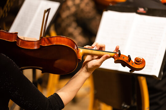 Hand on the strings of a violin