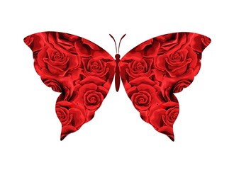 Butterfly of scarlet red rose buds silhouette isolated on white