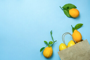 Fresh lemon with lemon tree leaves on a light blue background, with copy space. View from above.