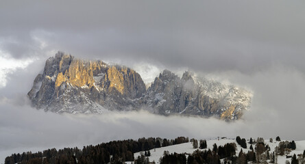 Sassolungo and sassopiatto dolomites mountains winter panorama from alpe di siusi