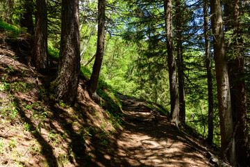 A hiking trail in the Mont Blanc massif in Europe, France, the Alps, towards Chamonix, in summer, on a sunny day.