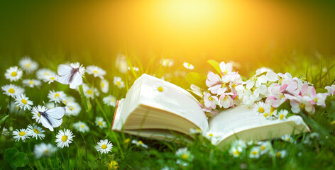 otwarta książka w kwiatach na trawie - obrazy, fototapety, plakaty
