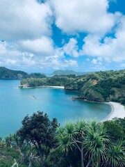Fototapeta premium 小笠原諸島 父島 中山峠 世界自然遺産 小笠原国立公園 小笠原 東京