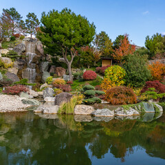 Naklejka premium Pine tree and waterfall in colorful autumn Japanese garden