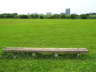 夏の誰もいないベンチのある江戸川河川敷風景