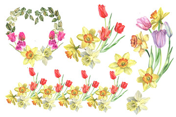 bouquet of flowers .watercolor tulips