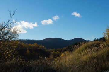 Beautiful autumn landscape in the countryside with a narrow road to the forest and forested mountain in the background, in Mrzla Vodica, Croatia