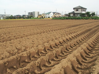 夏の耕作された轍の残る郊外の畑風景
