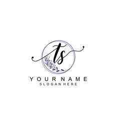TS initial Luxury logo design collection