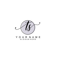 TS initial Luxury logo design collection