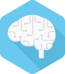 Brain Network