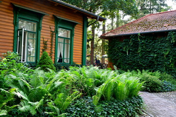 A close up on an old abandoned house with its roof almost entirely covered with vines and with other flora and with some decorations around the windows seen in the middle of a dense forest or moor 