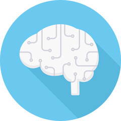 Brain Network