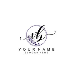 VB initial Luxury logo design collection