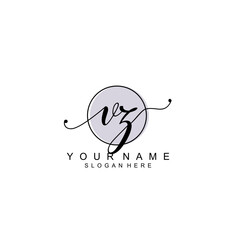 VZ initial Luxury logo design collection