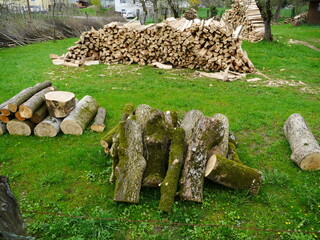 stabled logs nature