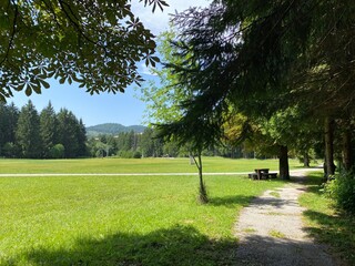 Golubinjak Forest Park in the mountainous region of Gorski kotar - Sleme, Croatia (Park šuma Golubinjak u planinskoj regiji Gorskog kotara - Sleme, Hrvatska)