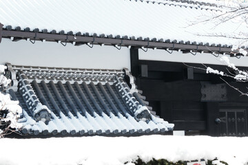 武家屋敷門の真っ黒な瓦屋根に真っ白な雪が積もる。黒と白のコントラスト。東京、赤坂４丁目の街の風景