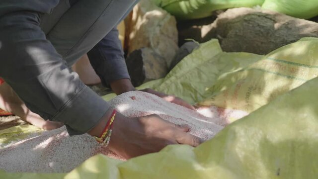 Close up shot of an Asian Indian male farmer preparing a mixture of dried chemical pesticides or fertilizer and urea together to use in the agricultural crop field in a broad daylight. 