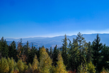 Mountain landscape. Green forest in a foreground.