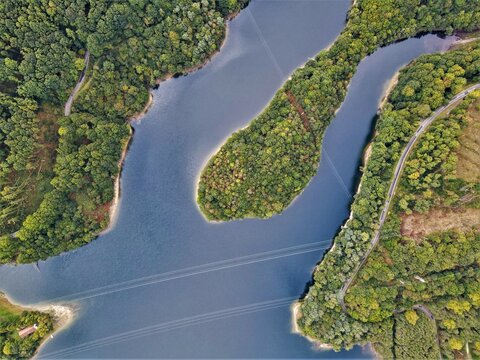 Vista a&eacute;rea de un lago forestal. Vista a&eacute;rea del lago azul y de los bosques verdes en un soleado d&iacute;a de verano. Fotograf&iacute;a de drones. Frontera bosque y lago, imagen, Desde arriba. Vista de la costa de