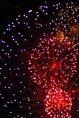 Fototapeta premium Red Fireworks on twilight background