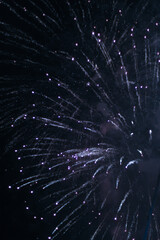 Obraz premium Brightly Colorful Fireworks on black background