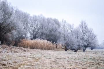 The Danube tributary in winter.