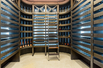Modern design of a home wine cellar with shelves in the rack and a convenient stepladder.