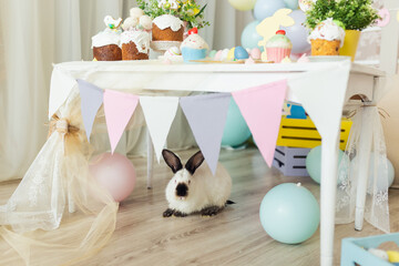 Easter - Cute Bunny seat under the table.
