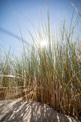 Cap Ferret Oc&eacute;an Gironde