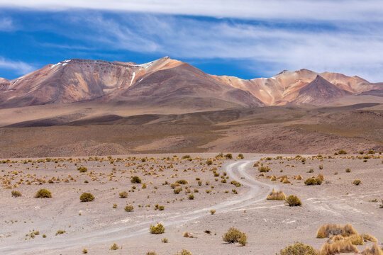 View of the altiplano near Canapa Lake (Laguna Canapa), Potosi Department, southwestern Bolivia