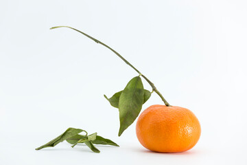 tangerine with its stem on a white background