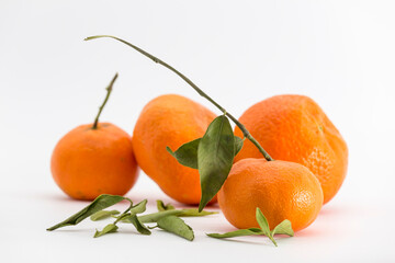group of tangerines on white background