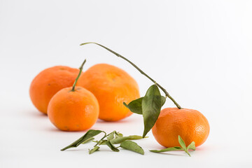group of tangerines on white background