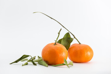 group of tangerines on white background