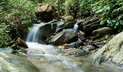 small waterfall in the forest