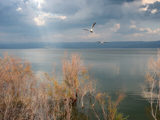 Kinneret, Sea of ​​Galilee, on a spring day.