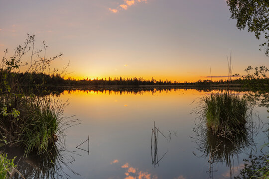 Riedsee lake in the high moor Wurzacher Ried, Bad Wurzach, Upper Swabia, Baden-Wurttemberg