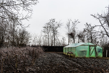 Winter landscape with a garden where all the plants and the ground are frozen.