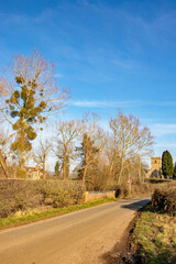 Obraz premium Country road in autumn