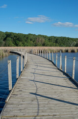 Fototapeta na wymiar wood lake park boardwalk across marsh