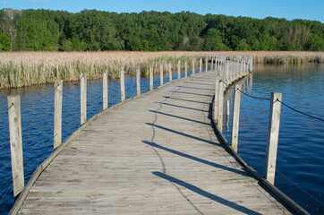 Fototapeta premium wood lake boardwalk and marshes