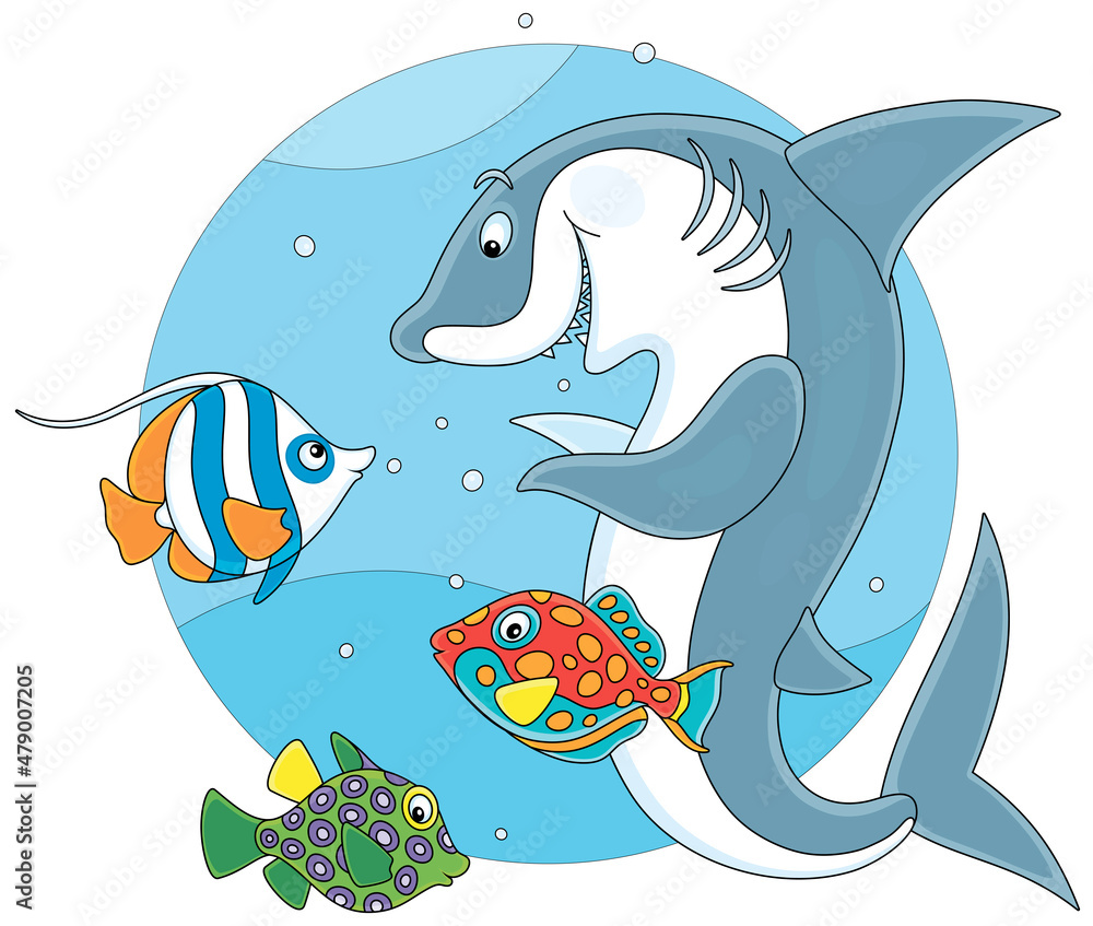 Wall mural Funny and playful shark playing with colorful tropical fishes in warm waters of an exotic coral reef, vector cartoon illustration isolated on a white background