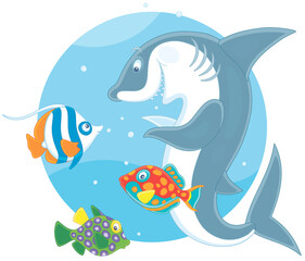 Funny and playful shark playing with colorful tropical fishes in warm waters of an exotic coral reef, vector cartoon illustration isolated on a white background
