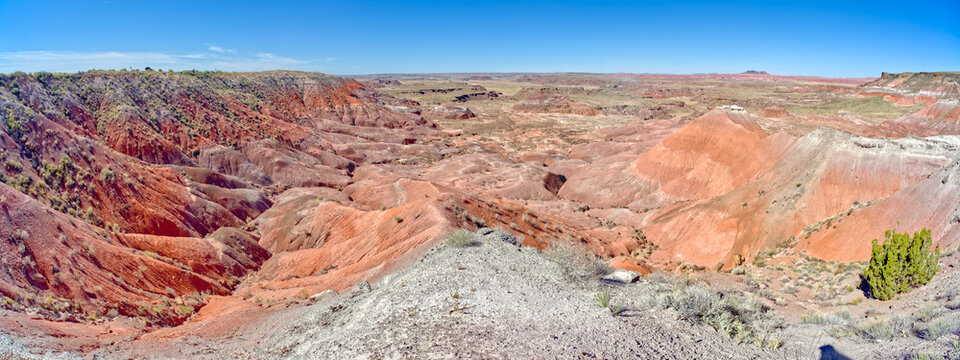 View from Lacey Point in Petrified Forest National Park, Arizona