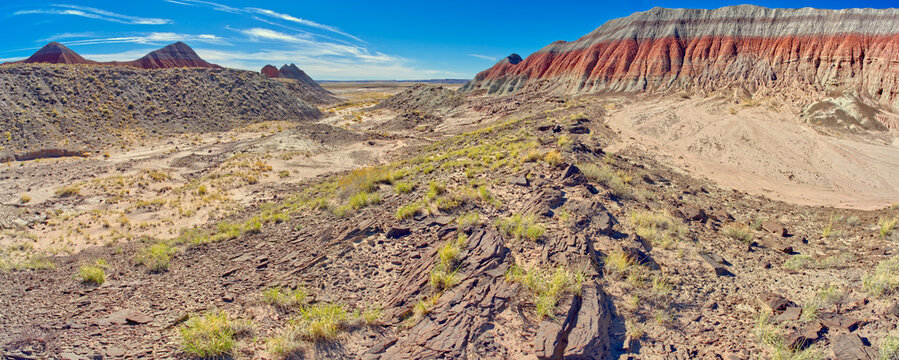 A valley in Petrified Forest National Park, west of the Tepees, Arizona